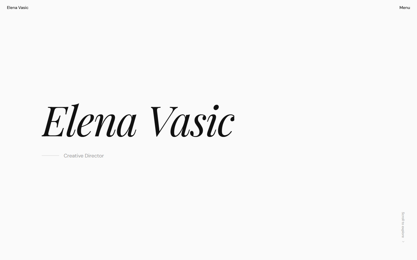 Elena Vasic Portfolio